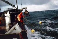 crabbing