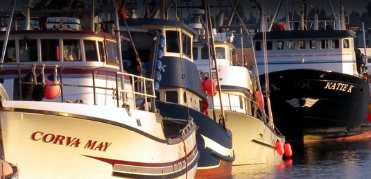 Commercial Fishing Accidents