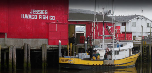 Dungeness Crab Boat Accidents